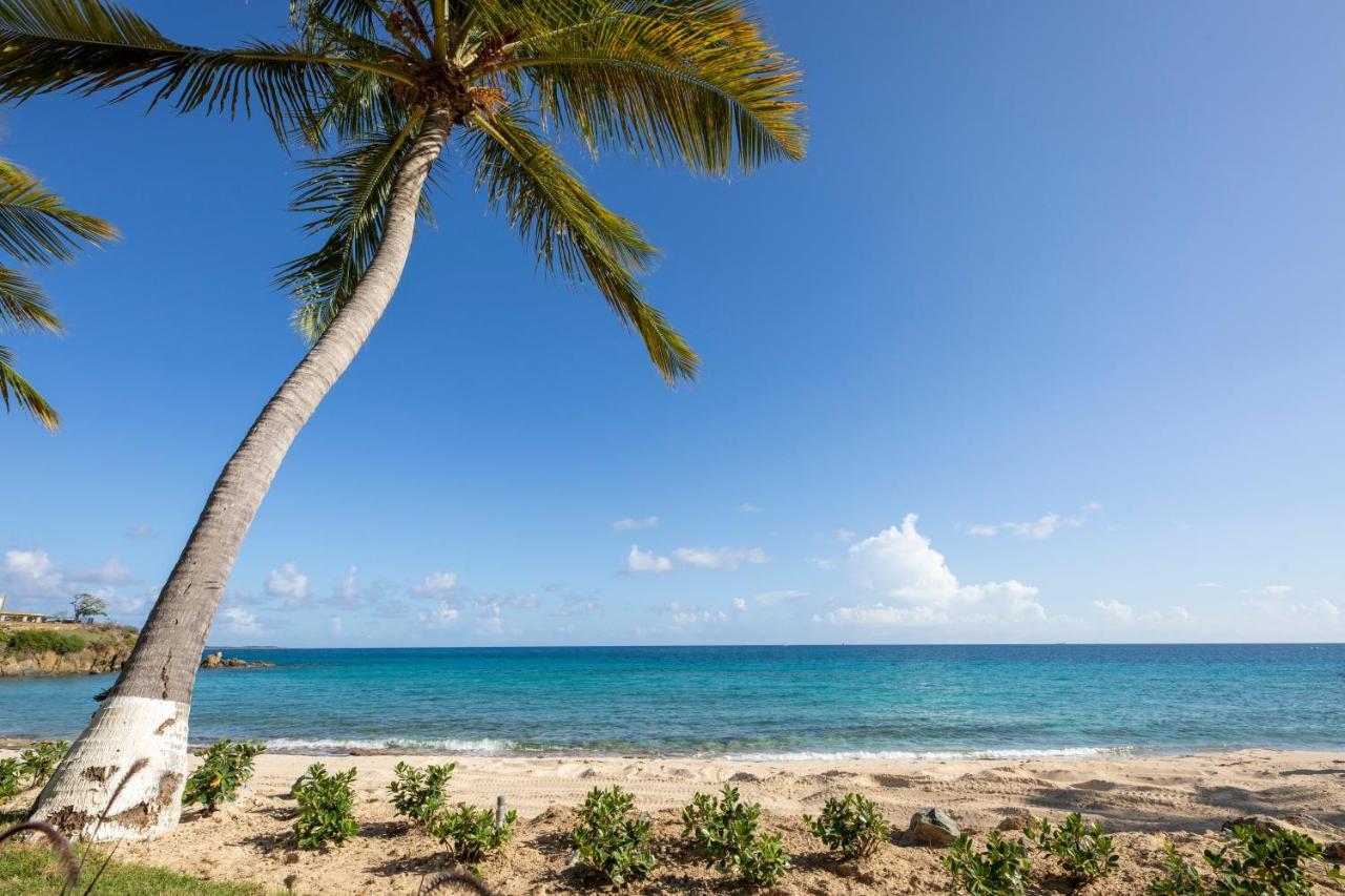 Limetree Beach Resort By Club Wyndham Bolongo Eksteriør billede